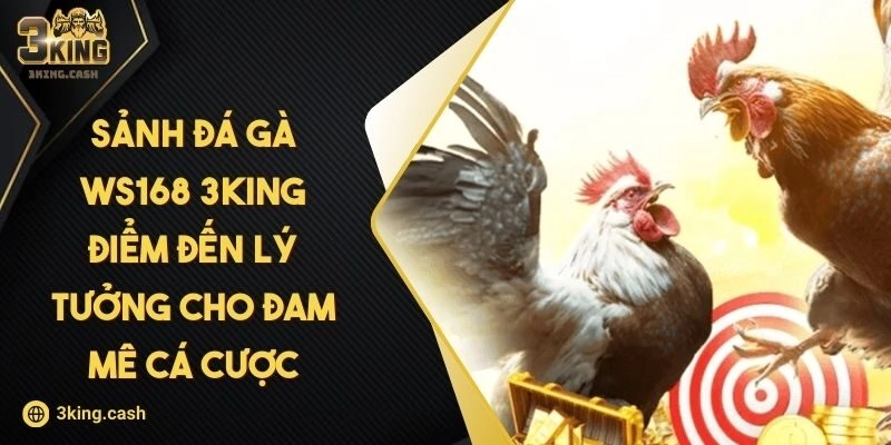 Sảnh Đá Gà WS168 3KING